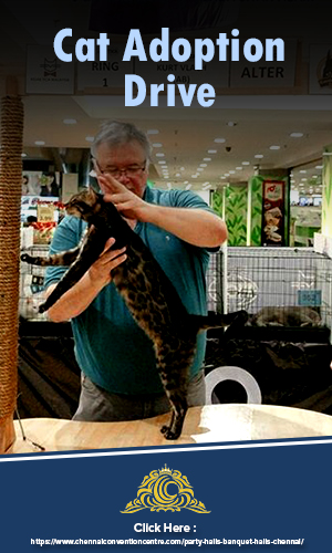 An animal lover at a Cat Adoption Drive considering a blackish brown cat for adoption, held at a popular venue.