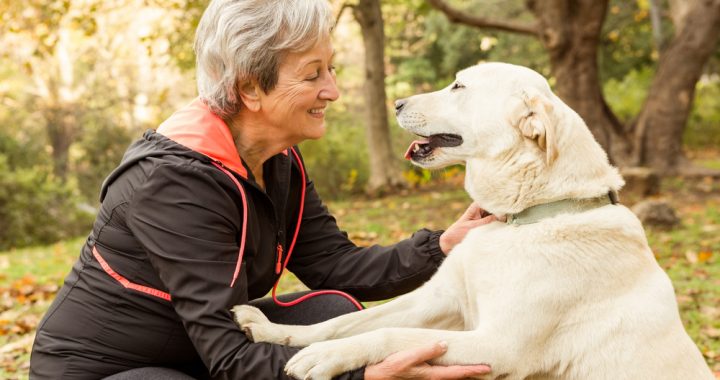 Image of A Woman With Her Dog and smiling in a Nice Place during the mid-day.