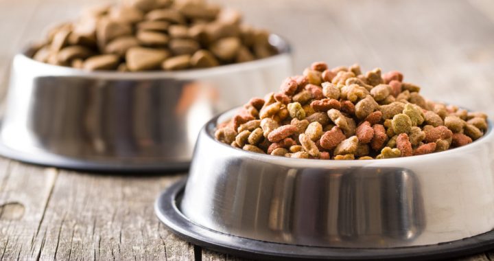 Image showing Dry Pet food in a bowl.