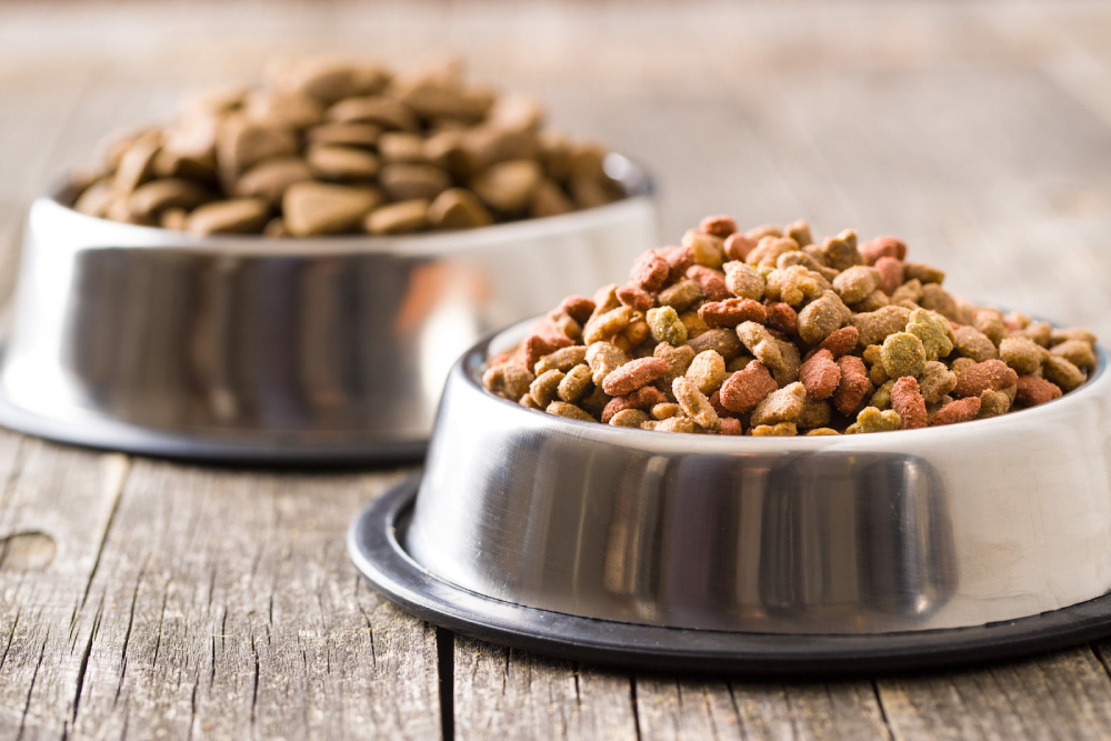 Image showing Dry Pet food in a bowl.